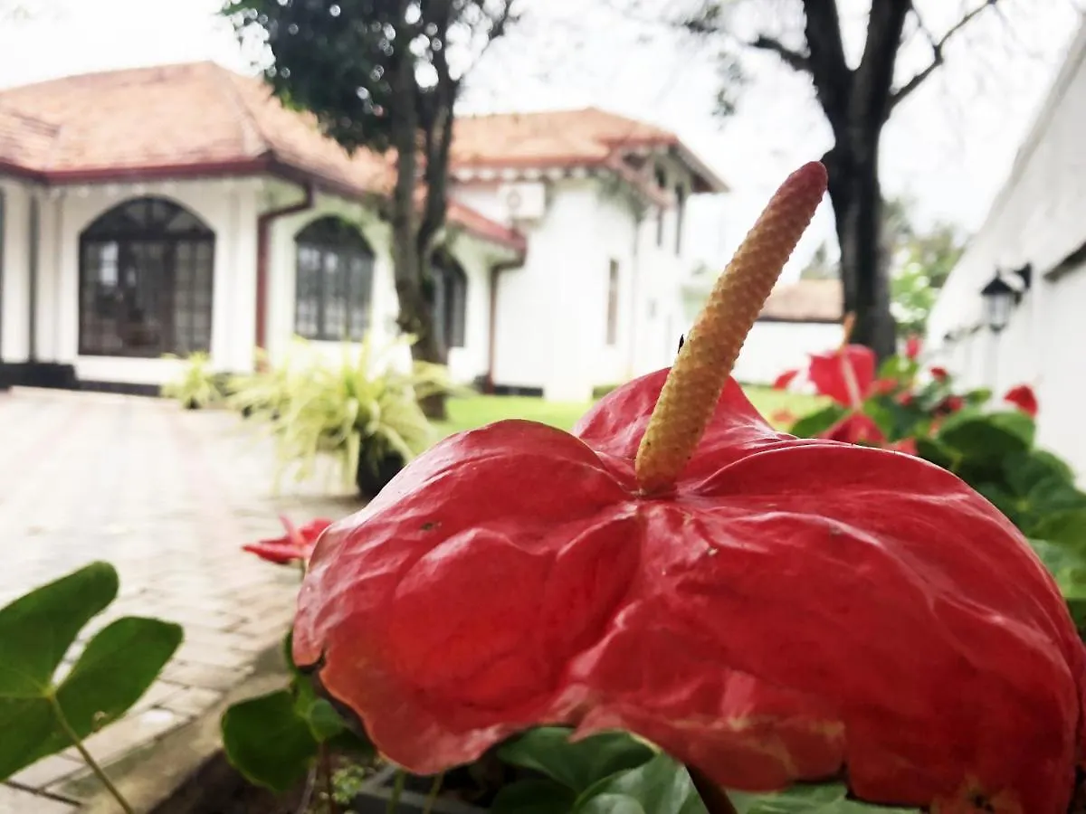 Hotel Grand Villa Negombo